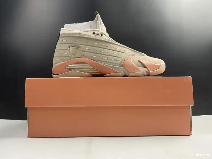Chep Onekick DC9857-200 Blush AIR Retro Clot Terra Jordan Low 14 0501